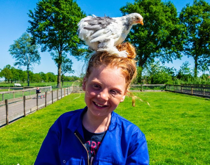 kinderboerderij flierefluiter kinderboerderij flierefluiter