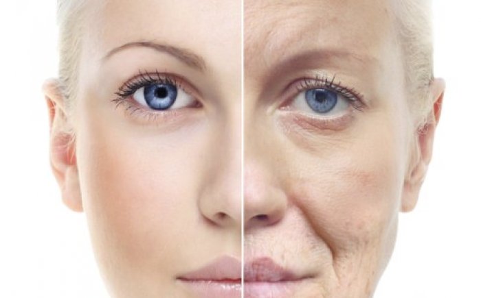 fillers injectables den haag