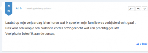 ervaringen reviews klachten gitaarles michel penterman