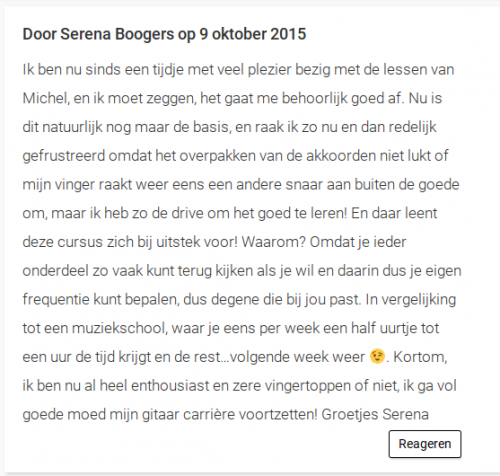 ervaringen reviews klachten gitaarles michel penterman