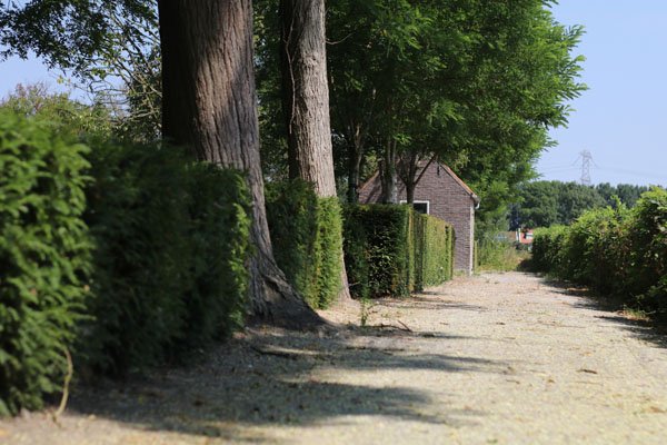 Grafstenen Driewegen Grafsteen Driewegen