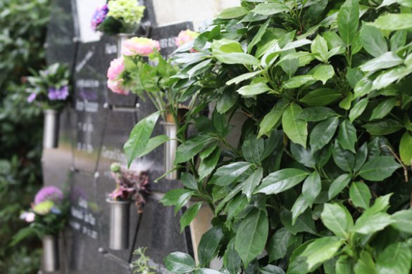 algemene begraafplaats 's-Heer Hendrikskinderen algemene begraafplaats 's-Heer Hendrikskinderen