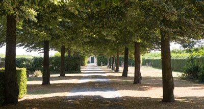 algemene begraafplaats ellewoutsdijk algemene begraafplaats ellewoutsdijk