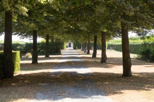 Algemene begraafplaats Ellewoutsdijk Algemene begraafplaats Ellewoutsdijk