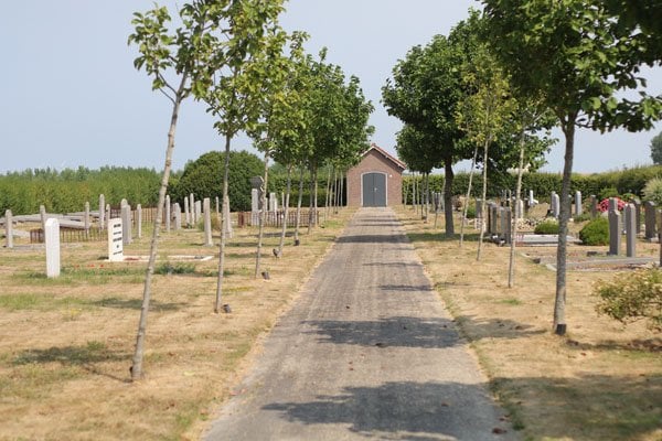 Goedkope grafsteen Wilhelminadorp algemene begraafplaats laten plaatsen, goedkoop, budget, voordelig
