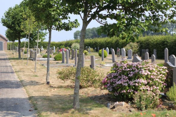 algemene begraafplaats Wilhelminadorp algemene begraafplaats Wilhelminadorp