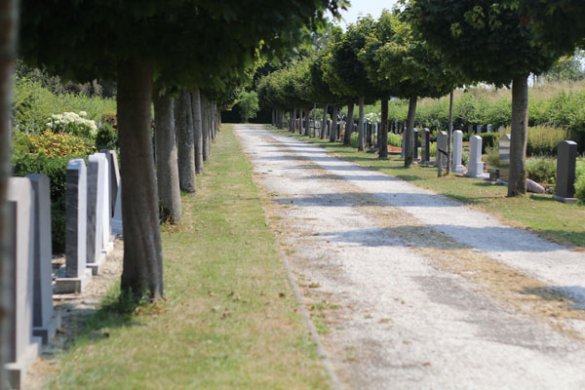 algemene begraafplaats Wolphaartsdijk algemene begraafplaats Wolphaartsdijk