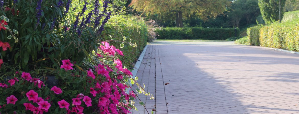 Algemene Begraafplaats Oost-Souburg Algemene Begraafplaats Oost-Souburg