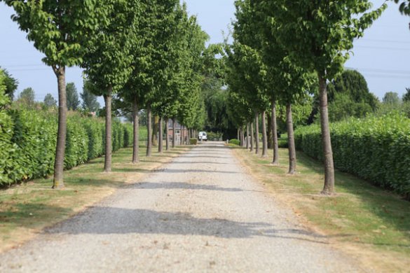 algemene begraafplaats Schore algemene begraafplaats Schore