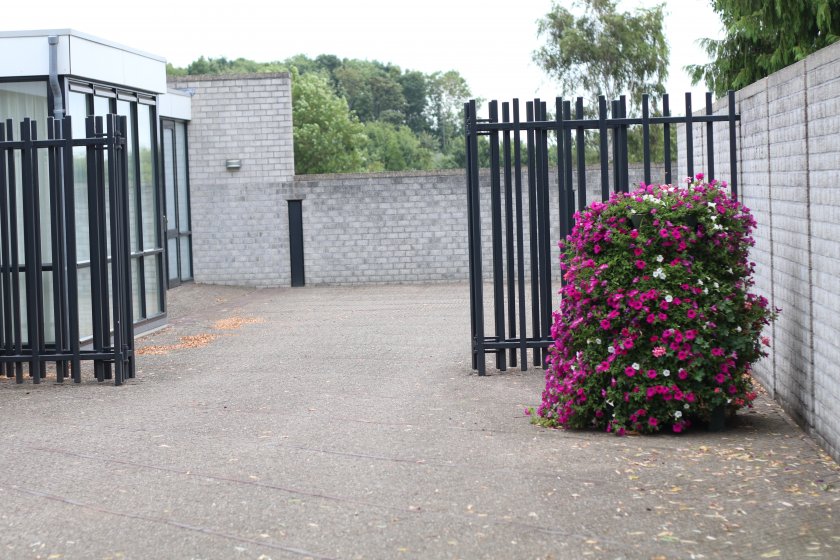 Grafstenen algemene begraafplaats Burgh-Haamstede Grafstenen algemene begraafplaats Burgh-Haamstede