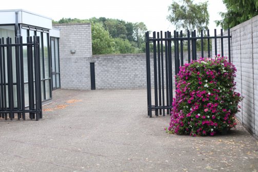 Algemene begraafplaats Burgh-Haamstede Algemene begraafplaats Burgh-Haamstede