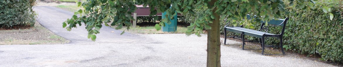 algemene begraafplaats Burgh-Haamstede algemene begraafplaats Burgh-Haamstede