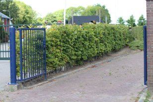 Algemene Begraafplaats Oostburg Algemene Begraafplaats Oostburg