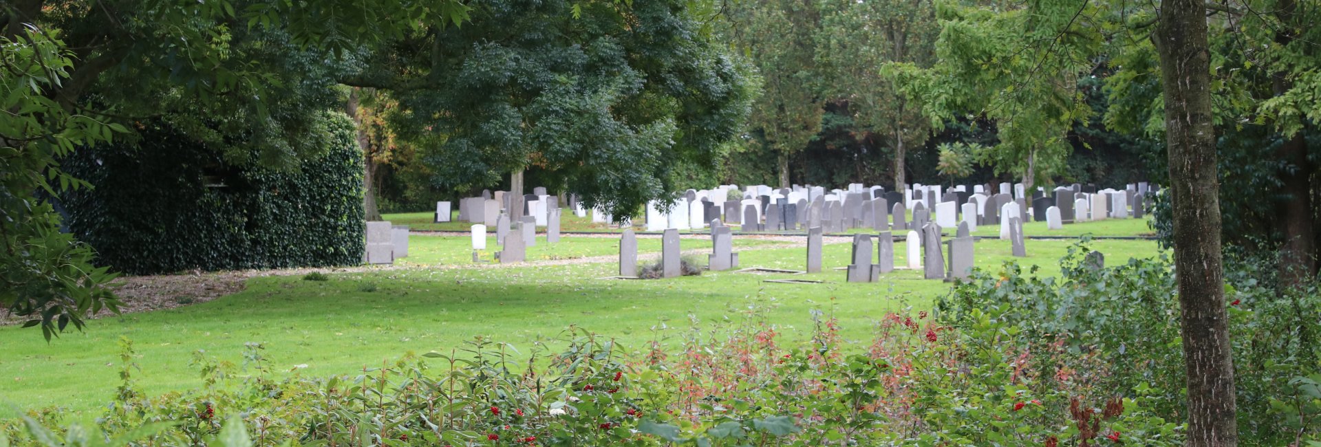 algemene begraafplaats Goedereede algemene begraafplaats Goedereede