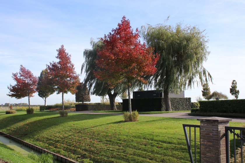 Grafstenen algemene begraafplaats in Piershil Grafstenen, goedkoop, budget, algemeen graf, algemene begraafplaats in Piershil