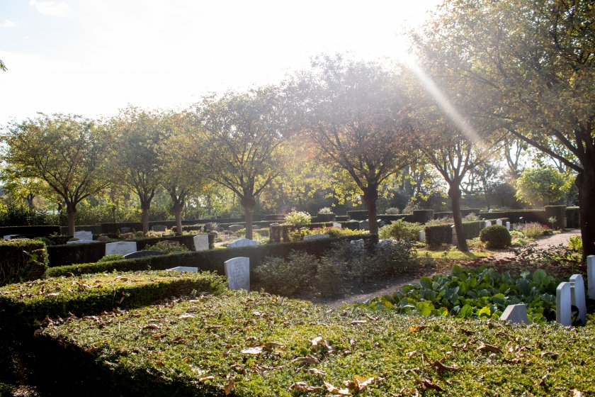 Grafstenen algemene begraafplaats in Geertvliet Grafstenen, goedkoop, budget, algemeen graf, algemene begraafplaats in Geertvliet