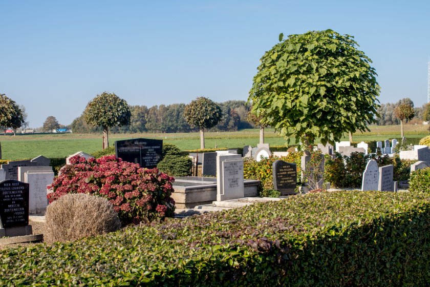 Grafstenen algemene begraafplaats in Heenvliet Grafstenen, goedkoop, budget, algemeen graf, algemene begraafplaats in Heenvliet