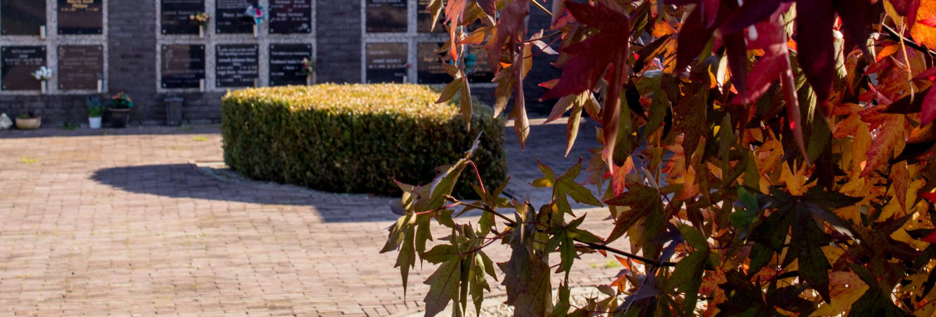 algemene begraafplaats in Brielle algemene begraafplaats in Brielle