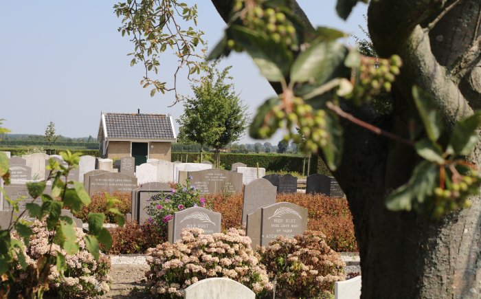 Grafsteen geplaatst op begraafplaats