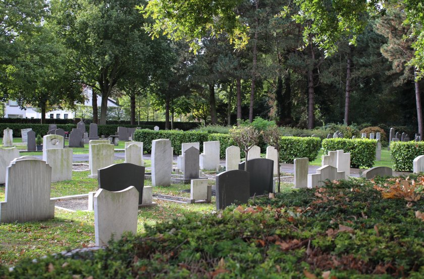 Grafsteen schoonmaken Grafsteen schoonmaken