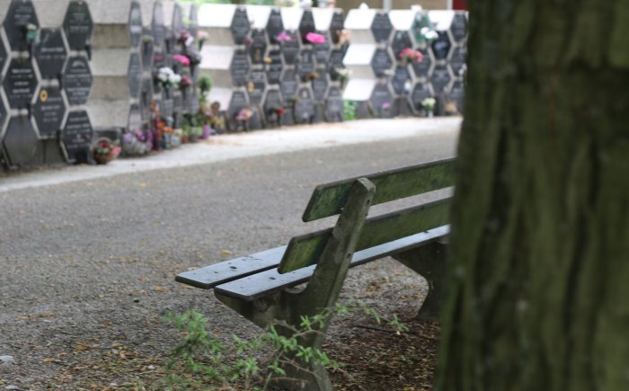 Grafsteen regelmatig schoonmaken Grafsteen regelmatig schoonmaken