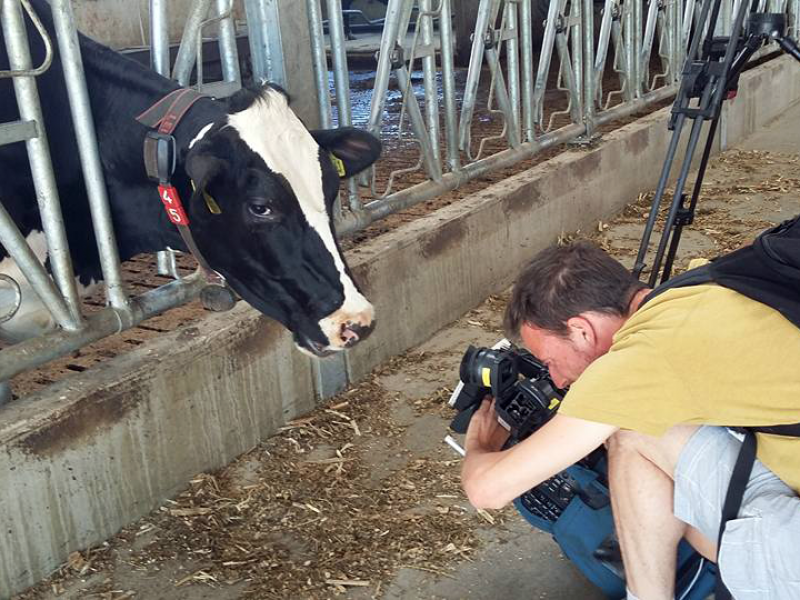 Book a cameraman in Brussels