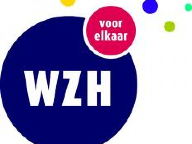 WZH en werkgeluk WZH en werkgeluk