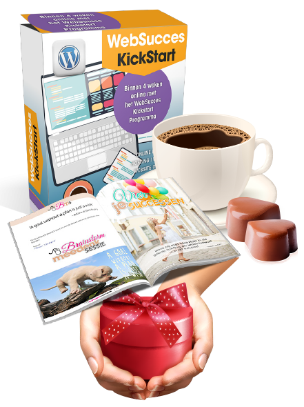 Skypesessie Websucces kickstart Skypesessie Websucces kickstart