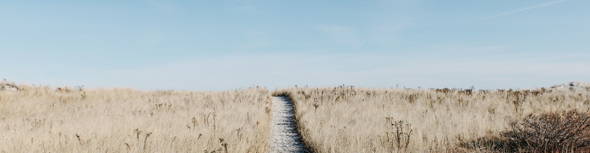 Ademcoach Opleiding Ademcoach Opleiding