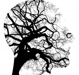 Paniekaanvallen  OVERWINNEN Paniekaanvallen OVERWINNEN MET HYPNOSE EN HYPNOTHERAPIE