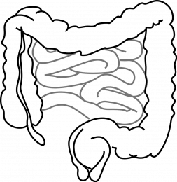 prikkelbare darmsyndroom prikkelbare darmsyndroom en hypnose en hypnotherapie