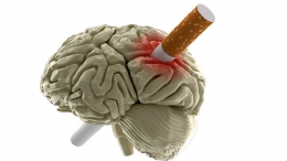 Stoppen met roken Stoppen met roken rotterdam