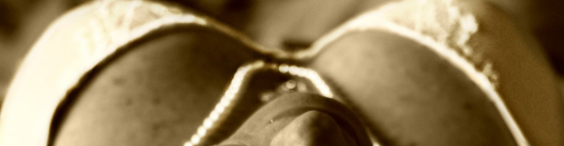 seksuele problemen oplossen met hypnose seksuele problemen oplossen met hypnose en hypnotherapie rotterdam