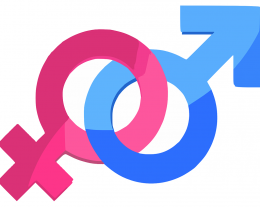 Problemen met erectie Problemen met erectie