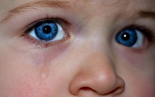 Vallen en opstaan de kracht van hypnose Een einde aan hoogtevrees met hypnose en hypnotherapie