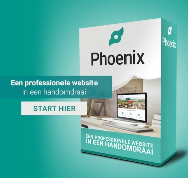 Phoenix professionele website