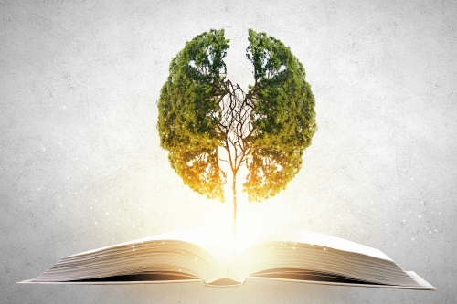 mindset lezing mindset lezing