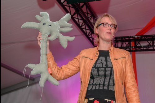 Breinleren Breinleren