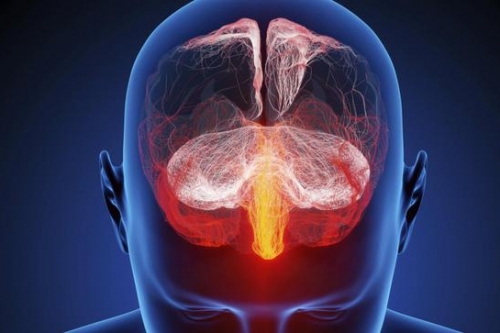 kracht van gewoonten kracht van gewoonten