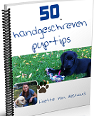 puppycursus Puppy opvoedtips 50 gratis