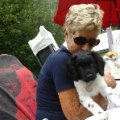 Pup Djoeke Iene van den Berge online puppycursus