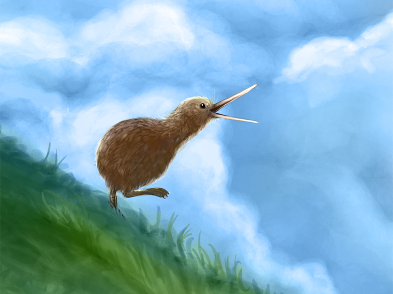 Kiwi bird illustration