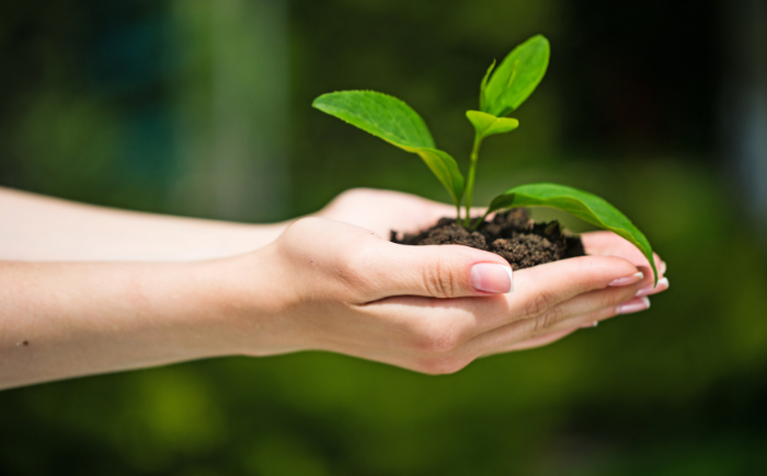 Intenties zetten tijdens Ontspannen Moeders in Driebergen Ontspannen moeders zetten Intentie of affirmatie in Driebergen