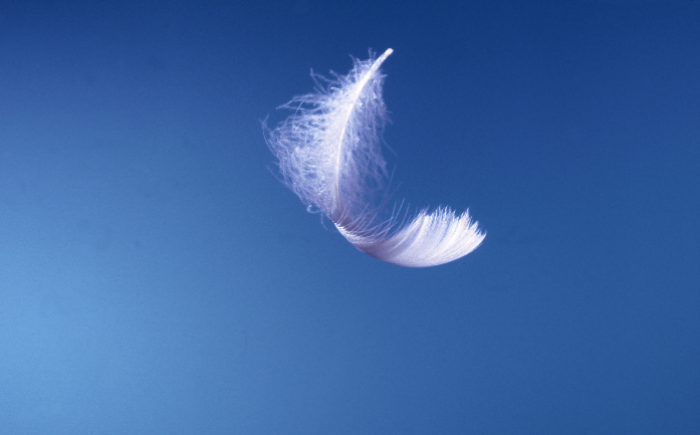 Stress en indrukken loslaten tijdens Ontspannen Moeders in Driebergen Ontspannen Moeder laat stress en indrukken loslaten in Driebergen