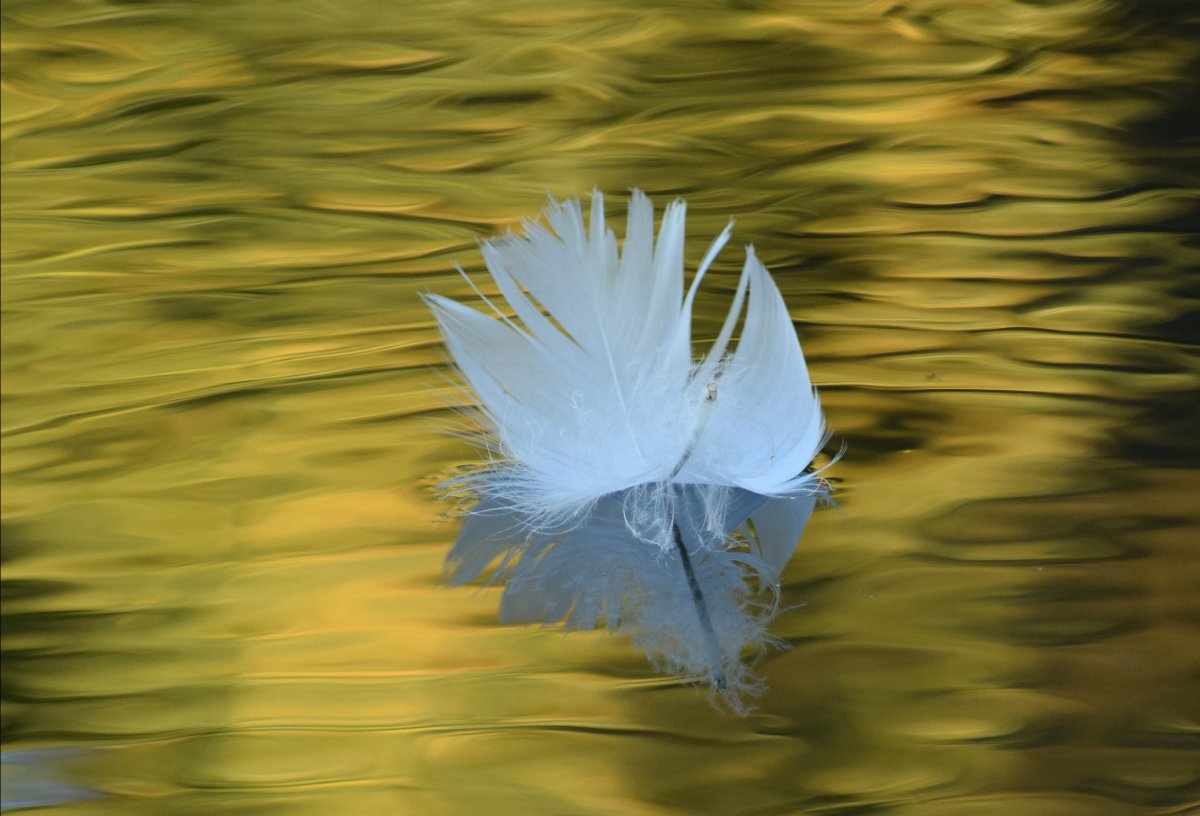Details fotograferen Details Christien Glas