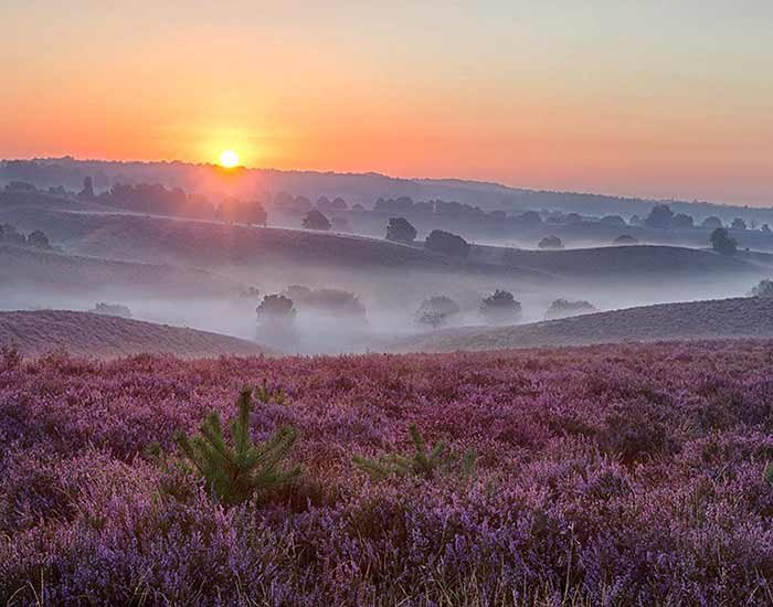 Cursus Fotografie Vervolg Vervolgcursus Fotografie