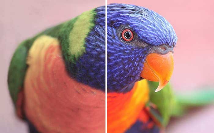 Fotografietips regel de kleur in je foto's Fotografie regel de kleur in je foto's