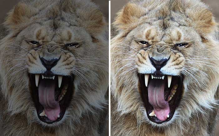 Fotografie belichting lichter of donkerder Fotografie belichting lichter of donkerder