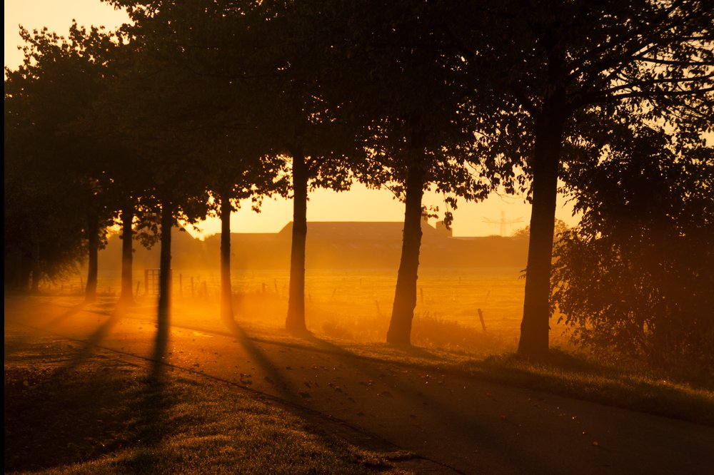 Landschapsfotografie sfeer cursisten Landschap sfeerfoto licht