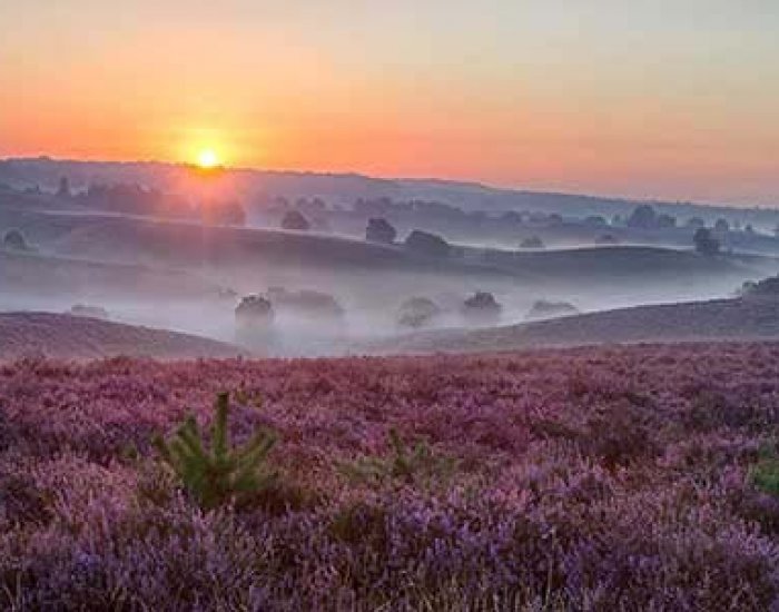 Online fotografiecursus Online cursus fotografie